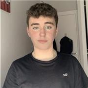 Profesor de apoyo escolar para niños de Primaria online o presencial